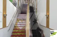 Ro-Ro ship למכירה