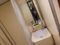 כלי שיט להובלת מטענים רופפים למכירה