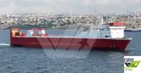 Ro-Ro ship למכירה