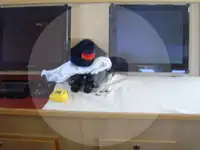 ספינת טרולר למכירה