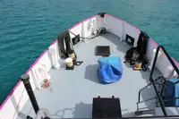 General Cargo/Multi-purpose למכירה