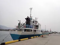 General Cargo/Multi-purpose למכירה