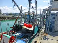 Trawler למכירה
