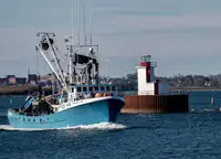 Purse seiner למכירה