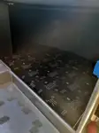 אונית תענוגות למכירה