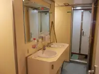 כלי שיט להובלת מטענים רופפים למכירה