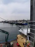 ספינת טרולר למכירה