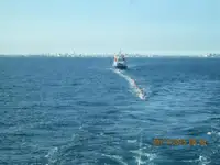כלי שיט להובלת מטענים רופפים למכירה