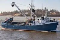 Purse seiner למכירה