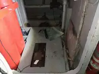 אונית תענוגות למכירה