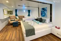 תמיכה בצלילה למכירה