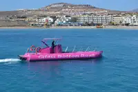 ספינת תענוגות למכירה