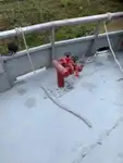 כלי שיט לעבודה למכירה