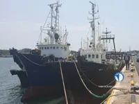ספינת טרולר למכירה