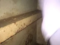מכלית נפט/כימיקלים למכירה