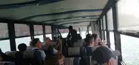 אמפיבית למכירה