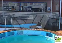 Ro-Ro ship למכירה