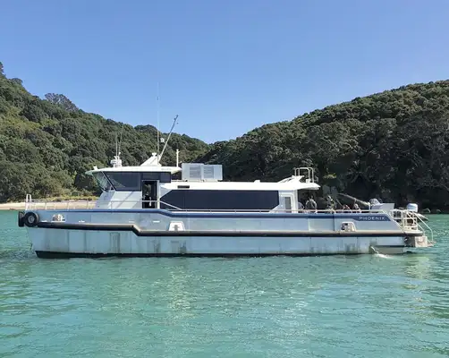 Catamaran for sale