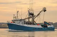 Purse seiner למכירה