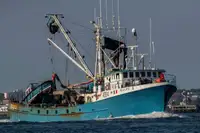Purse seiner למכירה