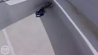 תמיכה בצלילה למכירה