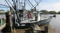 Trawler למכירה