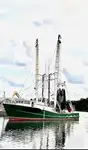 Trawler למכירה