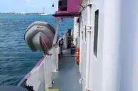 General Cargo/Multi-purpose למכירה