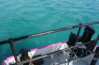 General Cargo/Multi-purpose למכירה