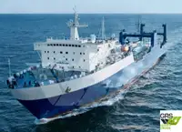 Ro-Ro ship למכירה