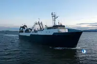 Trawler למכירה