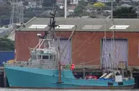 Trawler למכירה