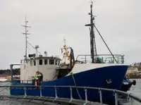 Trawler למכירה