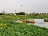 גוררת למכירה