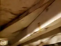 כלי מעבורת למכירה