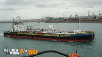 דוֹבְרָה למכירה