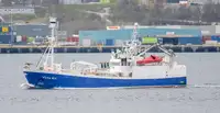 Purse seiner למכירה