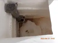 ספינת דיג בשיטת 'פרס סיין' למכירה