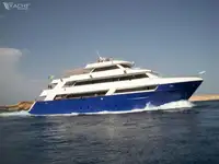 תמיכה בצלילה למכירה