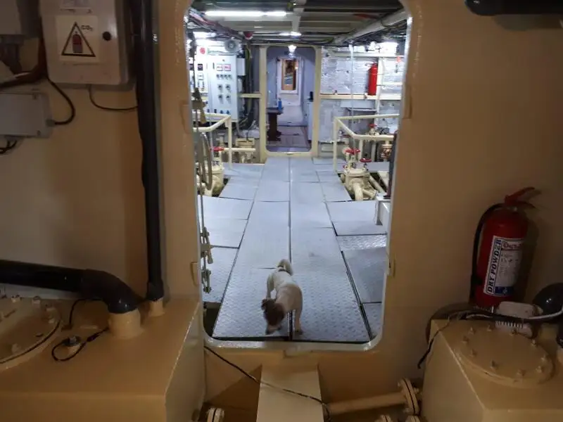 General Cargo/Multi-purpose למכירה