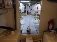 General Cargo/Multi-purpose למכירה