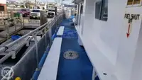 קטמרן למכירה