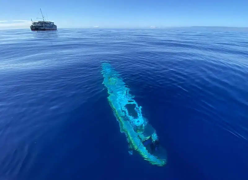 גורר למכירה