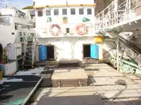 ספינת דיג בשיטת 'לונגליין' למכירה