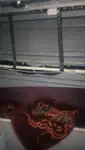 סירת סיור למכירה