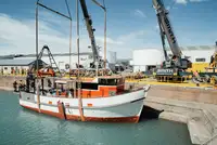 Trawler למכירה