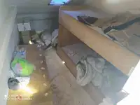 כלי שיט לעבודה למכירה