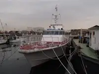 סירת סיור למכירה