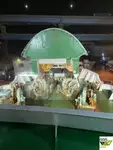 ספינת Ro-Ro למכירה