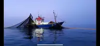 Trawler למכירה
